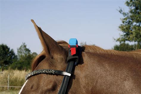 smart cards for horses|8 OF THE BEST SMART HORSE TRACKING TECHNOLOGIES.